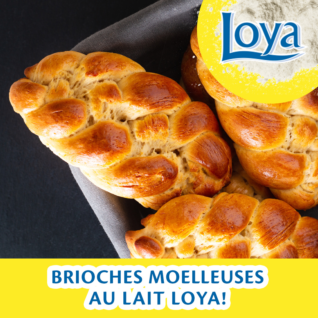 BRIOCHES MOELLEUSES AU LAIT LOYA.jpg